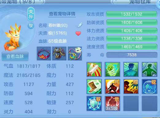 微信图片_2026-06-25_175830_520.jpg