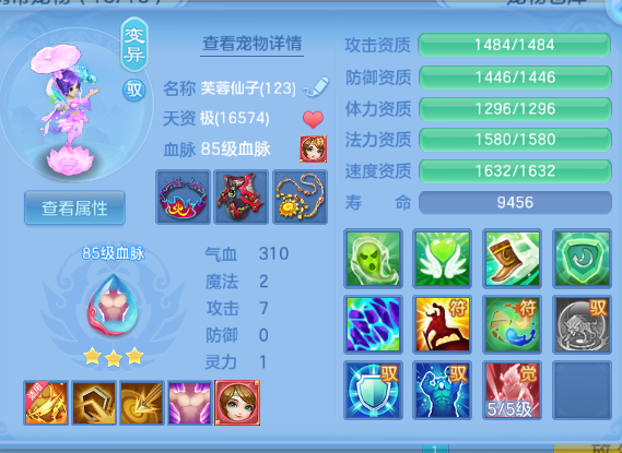 微信图片_20260714011615_44_16234.png