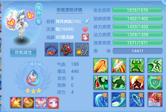 微信图片_20260805145252_21_2441.png