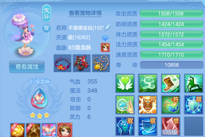 微信图片_20260807230729_61_8353.png