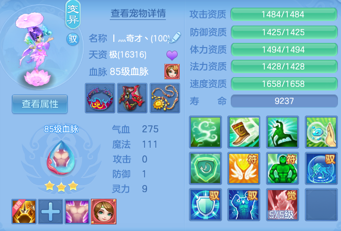 ce7bd023060940fe9d290e57b8c2c00d.png