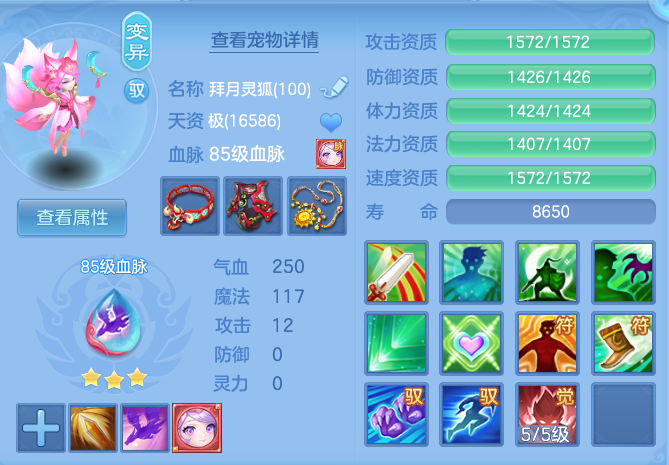 6c291e13586393fa416e3a5a835bfe13.png