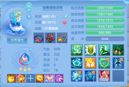 微信图片_20261005005506_521_1.png